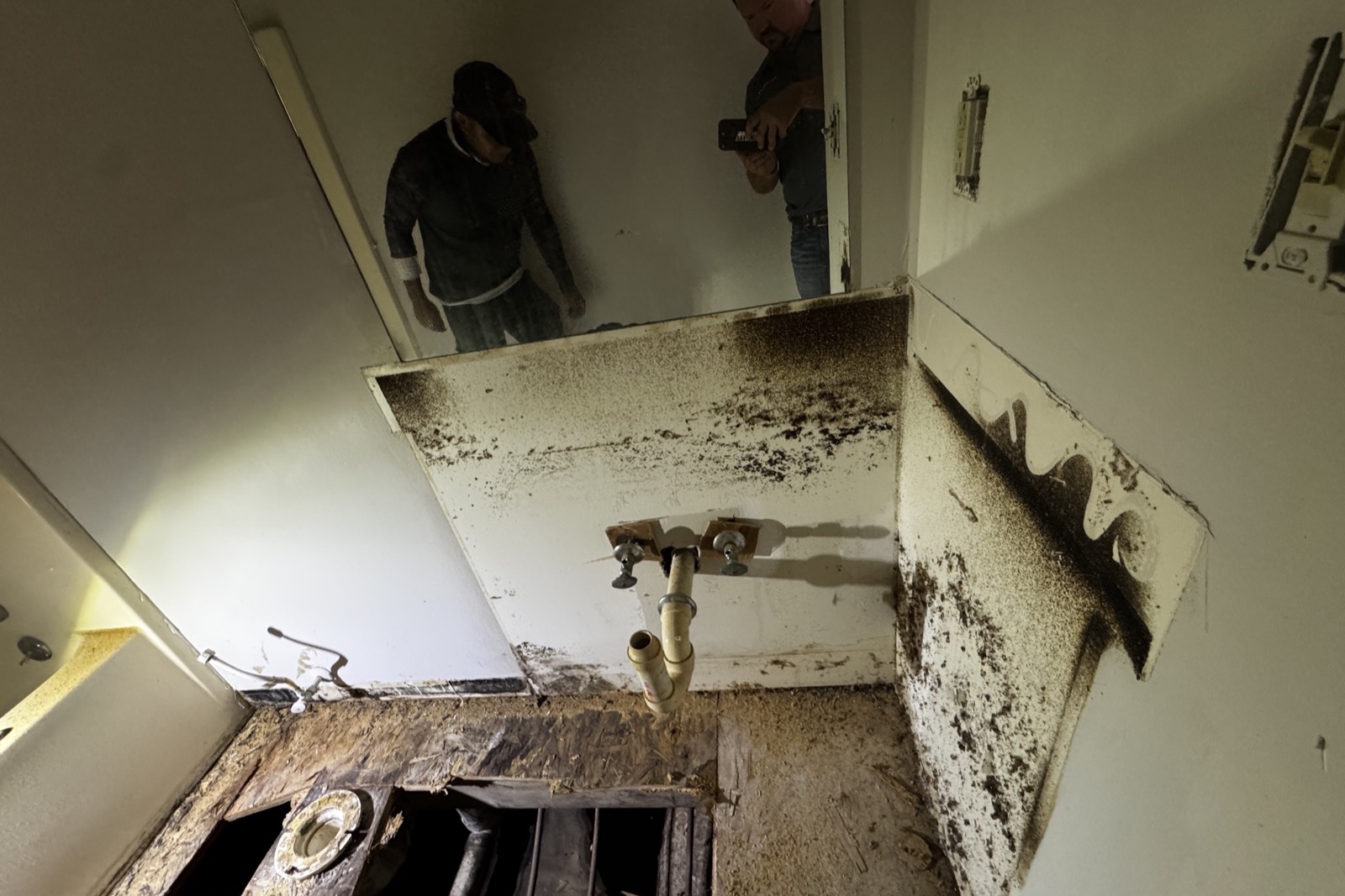 A mold covered bathroom wall with the vanity removed and the subfloor torn out, exposing floor joists and plumbing below